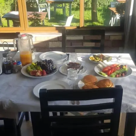 Ilir Guest house *